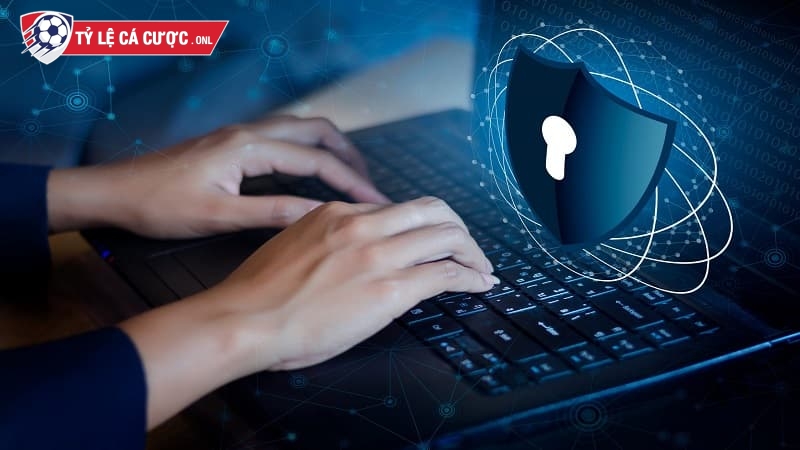 Chính sách Tylecacuoc có công khai việc thu thập thông tin cá nhân người dùng