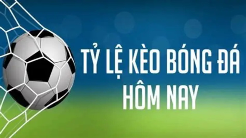 Cung cấp tỷ lệ kèo bóng đá trước trận đầy đủ nhất