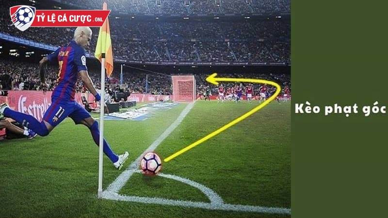 Người chơi mới quan tâm kèo chấp phạt góc là gì?