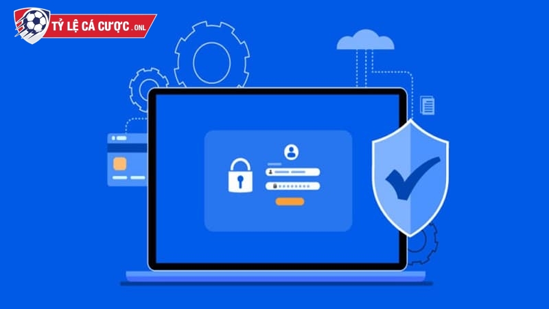 Sử dụng thông tin người dùng để website cải thiện trải nghiệm của người dùng